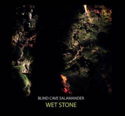 Blind Cave Salamander : Wet Stone